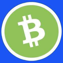 BITCOIN CASH ON BASE base coin image