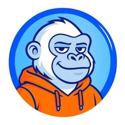 Nico base coin image