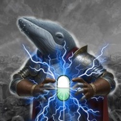 The Gray Whale sol coin image