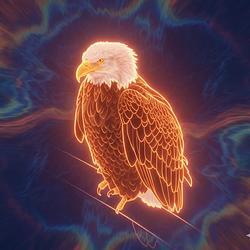 Aura Farming Eagle sol coin image