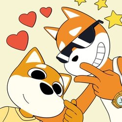 BaoBao sol coin image