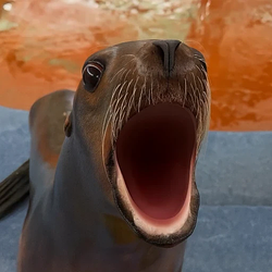 POPSEAL sol coin image