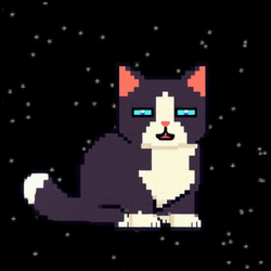 Spacecat sol coin image