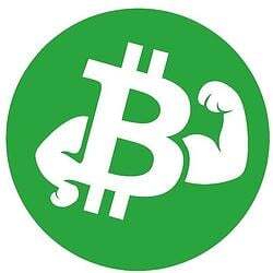 Fitcoin sol coin image