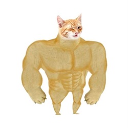 Buff Cat