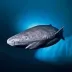 Greenland Shark