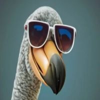 Dodo 2.0 REBIRTH