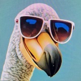 Telegram Icon