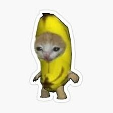 @BananaCatpfp